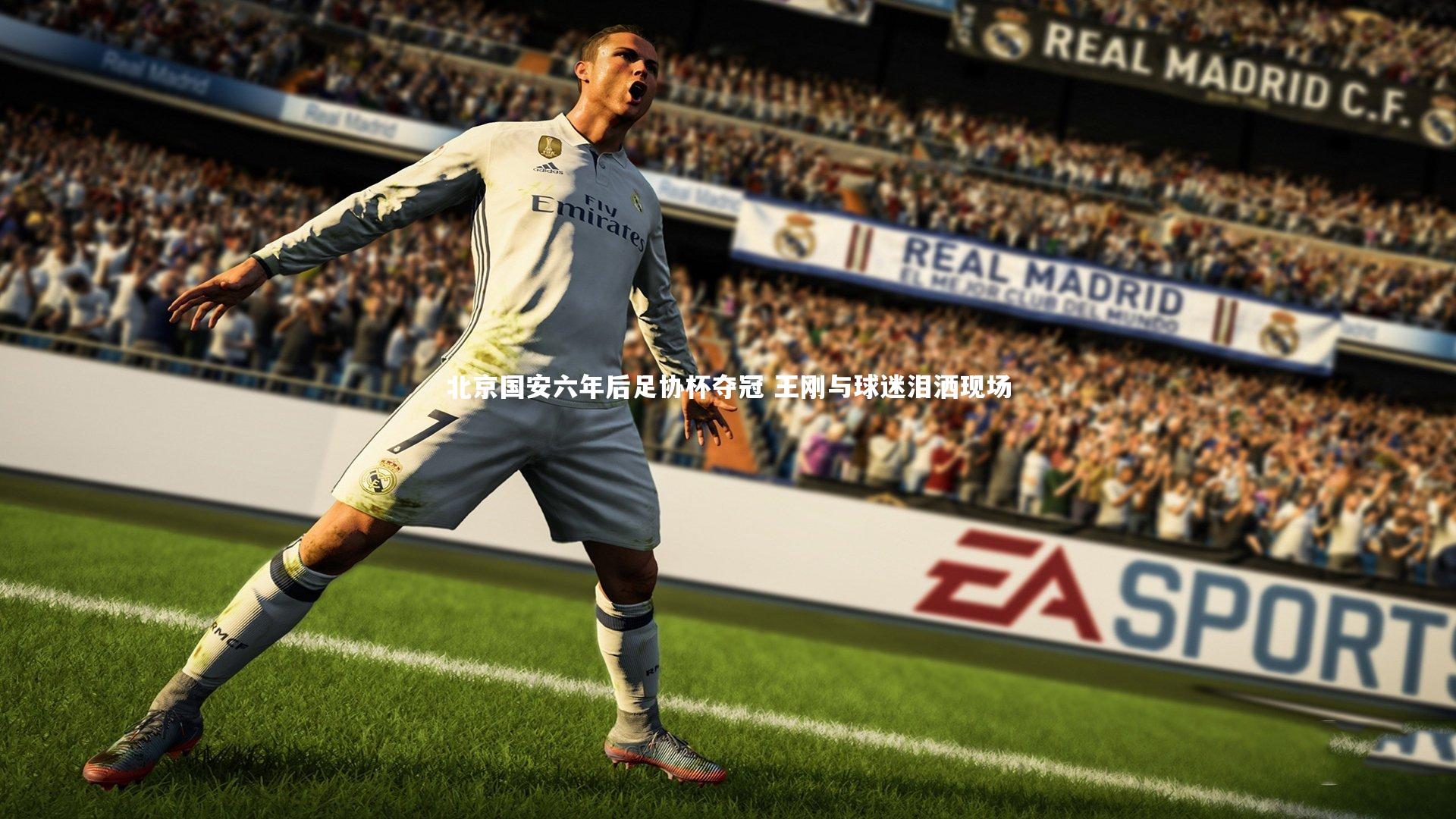 【爱游戏体育】北京国安六年后足协杯夺冠 王刚与球迷泪洒现场