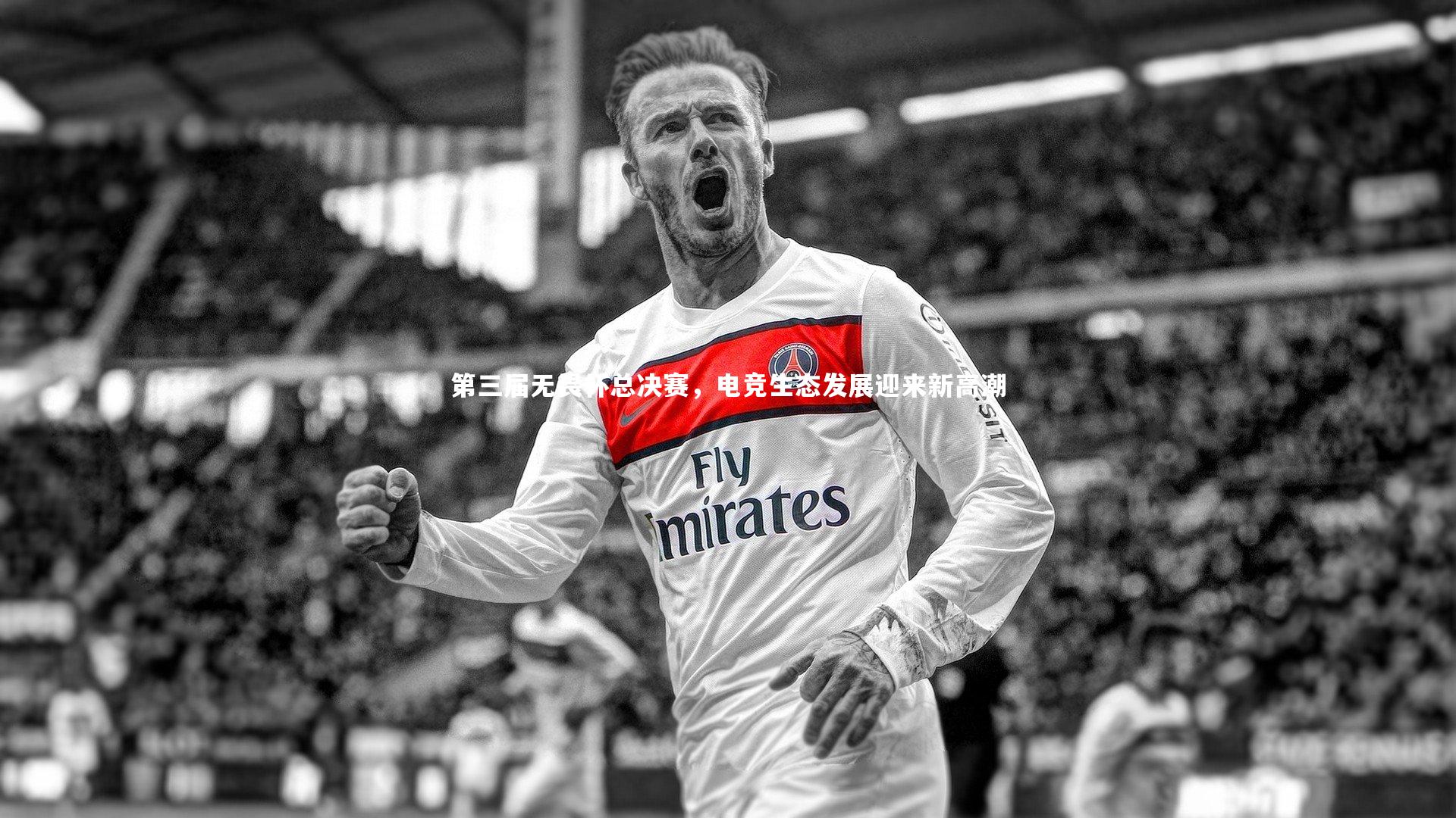 爱游戏体育-第三届无畏杯总决赛，电竞生态发展迎来新高潮